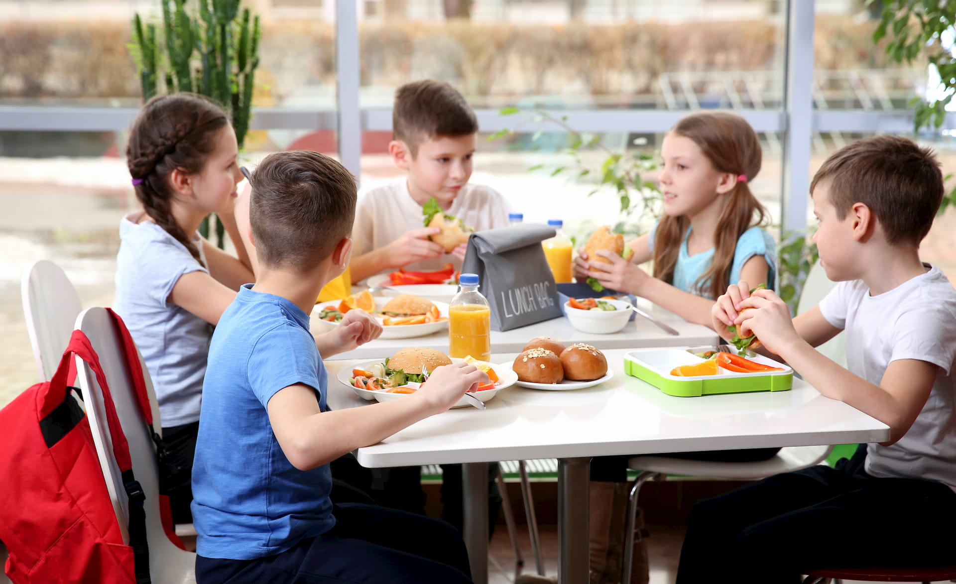 Jak nauczyć się gotować od zera? 10 podstaw, które warto opanować